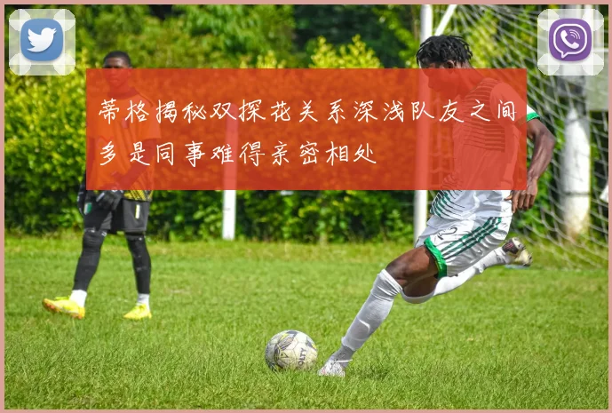 蒂格揭秘双探花关系深浅队友之间多是同事难得亲密相处