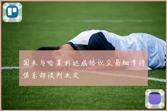 国米与哈莱利达成协议交易细节待俱乐部谈判决定